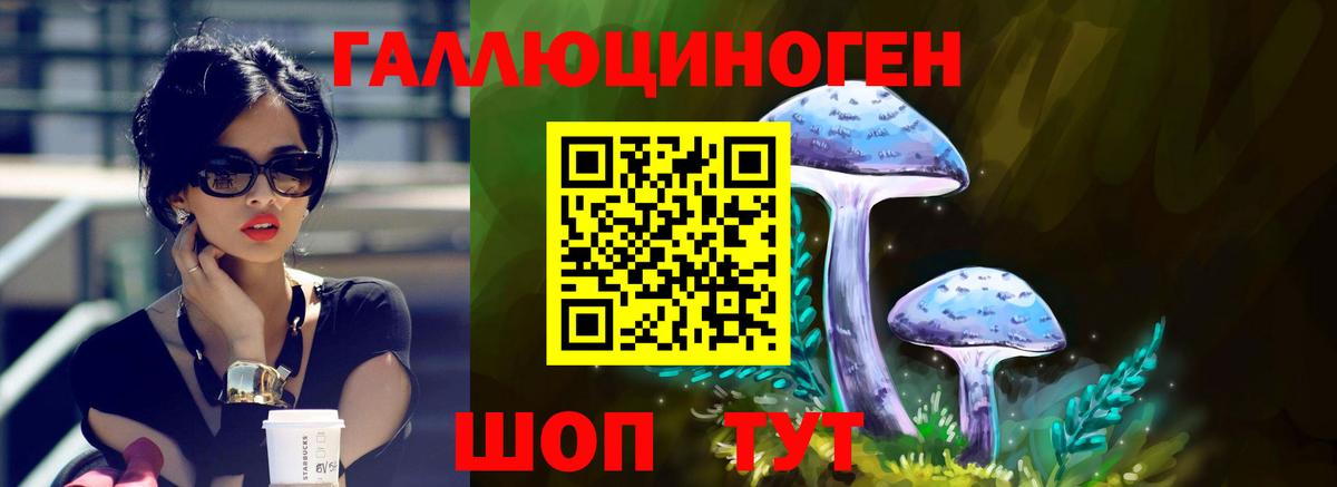 Псилоцибиновые грибы Psilocybe  Псилоцибиновые грибы Cubensis  Луховицы  Вход с VPN 